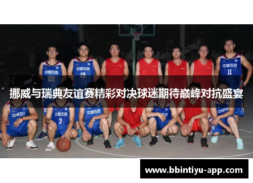 挪威与瑞典友谊赛精彩对决球迷期待巅峰对抗盛宴